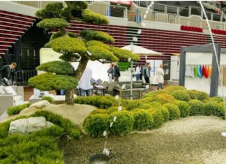 Gardenexpo in Budapest – Gartenmesse am Wochenende!