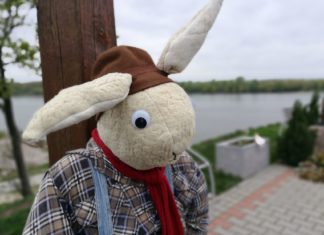 In Gönyüi ist der erste Osterbote zu sehen