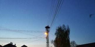 Die ersten Störche beziehen ihre Quartiere in Ungarn!