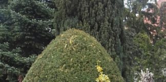 Ach Du dickes Osterei…!