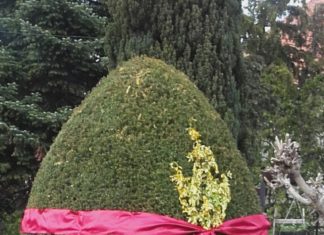 Ach Du dickes Osterei…!