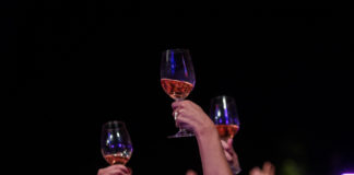 Eine große Party am Balaton : Jazzpicknick in Palóznak!