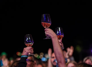 Eine große Party am Balaton : Jazzpicknick in Palóznak!