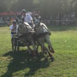 Ungarn-Kutschen4