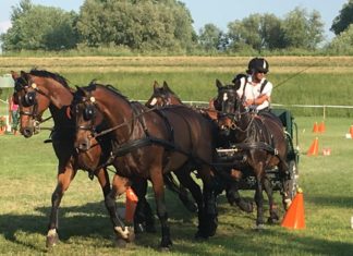Börcs: 13. Kutschenturnier Börcsi Lovas Vigasságok