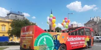 Neuer Panorama-Tourismus-Bus in Székesfehérvár