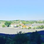 Lavendelfelder Pannonhalma