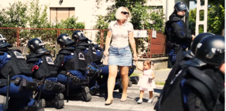 Neues Polizeivideo soll für mehr Aufmerksamkeit an Zebrastreifen sorgen!