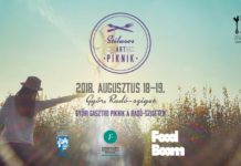 Stylisches ART Picknick in Győr