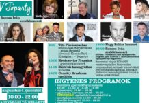 Tóparty in Adyváros, Győr