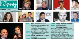 Tóparty in Adyváros, Győr