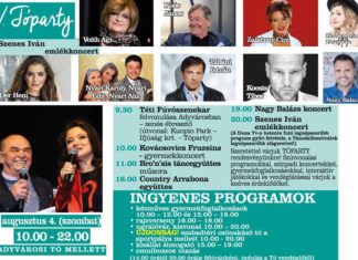 Tóparty in Adyváros, Győr