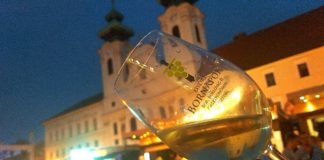 Wein Tage in Győr haben begonnen