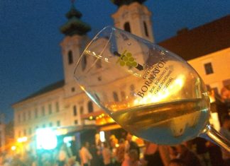 Ungarn-TV testet Blauen Wein!