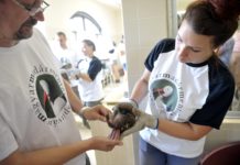 „Sünispotály“ geöffnet im Budapester Zoo