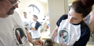 „Sünispotály“ geöffnet im Budapester Zoo