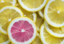 Zitrusfrüchte wurden von NÉBIH untersucht