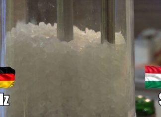 Sprache – Ungarisch für Touristen: Kräuter aus der ungarischen Küche