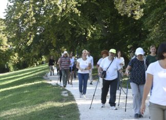 Gesund wandern in Budapest auf neuem Cardio-Pfad