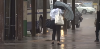 Die Vorboten des Sturmes des Jahrhunderts mit ungarischen Augen