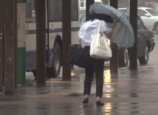 Die Vorboten des Sturmes des Jahrhunderts mit ungarischen Augen