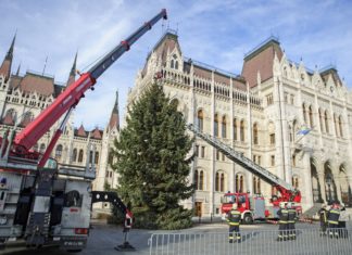 Weihnachtsfieber in Ungarn: Der Landesweihnachtsbaum steht vor dem Parlament