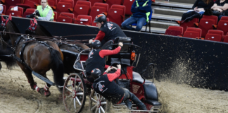 Weltmeisterschafts Wertungsturnier der Vierspänner in Budapest!