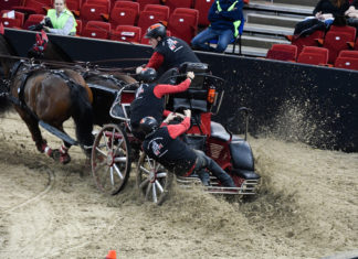 Weltmeisterschafts Wertungsturnier der Vierspänner in Budapest!