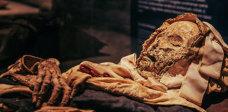 Forscher untersuchen eine ungarische Mumie mit ausgeschnittenem Herzen