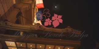 Weinball in Budapest am 16. Februar 2019