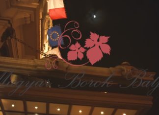 Weinball in Budapest am 16. Februar 2019