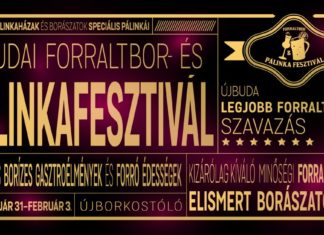 Újbuda Glühwein und Pálinka Festival