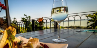 Weinwanderungen in der Badacsonyer Weinregion 2019