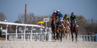 Erste Galopprennen im Kincsem Park Budapest