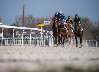 Erste Galopprennen im Kincsem Park Budapest
