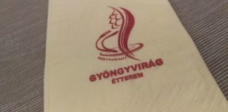 Gut und günstig essen im Gyöngyvirág Étterem in Héviz