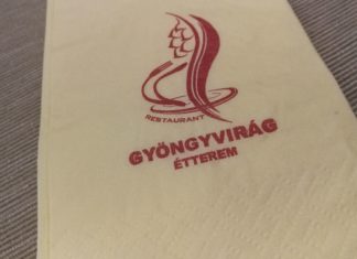 Gut und günstig essen im Gyöngyvirág Étterem in Héviz