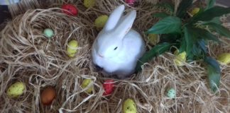 Osterwochenende im HungaroSpa Hajdúszoboszló