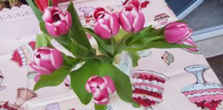 Das Tulpenfestival in Celldömölk vom 12. – 14. April 2019