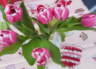 Das Tulpenfestival in Celldömölk vom 12. – 14. April 2019