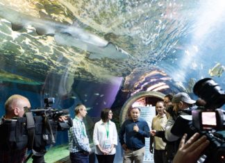 Hai-Konferenz in Nyiregyháza
