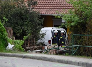 Crash – Ungewöhnlicher Besuch auf der Terasse!