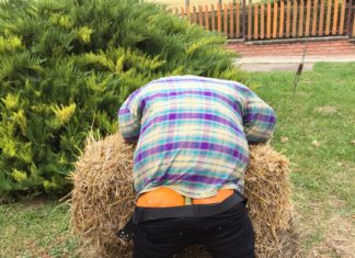 Was für ein Hinterteil!?