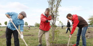 „Mit Verantwortung für die Zukunft“: Baumpflanzaktion bei Audi Hungaria