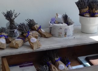 14. Juni 2019 – 21. Juni: Lavendelwoche in Tihany