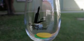 Beim Somogy Weinfestival können hunderte Weine verkostet werden