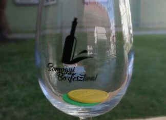 Beim Somogy Weinfestival können hunderte Weine verkostet werden