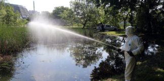 Kampf gegen die Mücken – Sprühaktionen gestartet