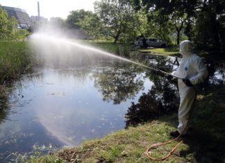 Kampf gegen die Mücken – Sprühaktionen gestartet