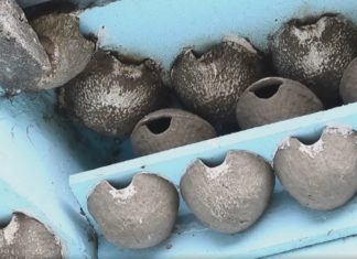 Schwalbenbestand in Ungarn dramatisch verringert!